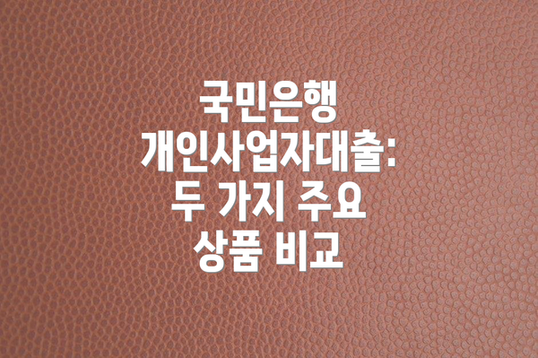 국민은행 개인사업자대출:  두 가지 주요 상품 비교