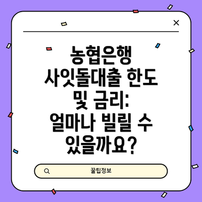 농협은행 사잇돌대출 한도 및 금리: 얼마나 빌릴 수 있을까요?
