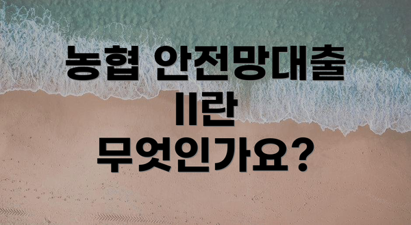 농협 안전망대출 II란 무엇인가요?