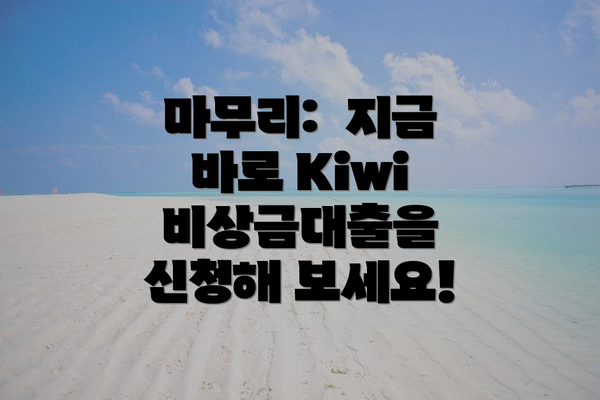마무리:  지금 바로 Kiwi 비상금대출을 신청해 보세요!