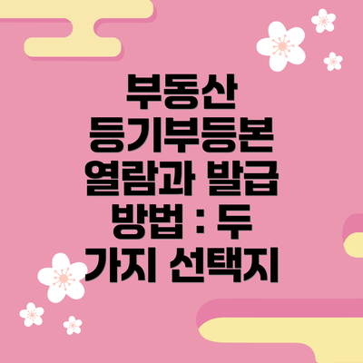 부동산 등기부등본 열람과 발급 방법 : 두 가지 선택지