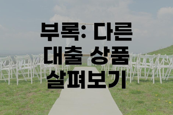 부록: 다른 대출 상품 살펴보기