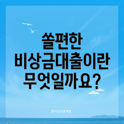 쏠편한 비상금대출이란 무엇일까요?