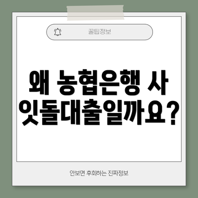 왜 농협은행 사잇돌대출일까요?