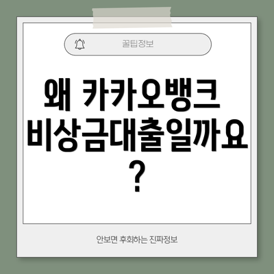 왜 카카오뱅크 비상금대출일까요?