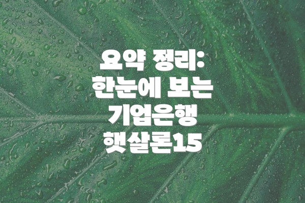 요약 정리:  한눈에 보는 기업은행 햇살론15