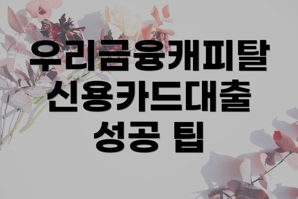 우리금융캐피탈 신용카드대출 성공 팁