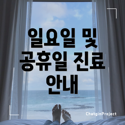 일요일 및 공휴일 진료 안내