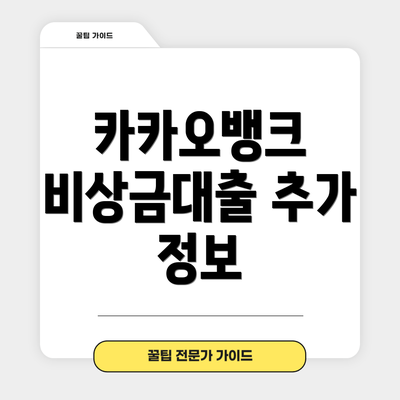 카카오뱅크 비상금대출 추가 정보