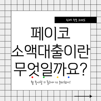 페이코 소액대출이란 무엇일까요?