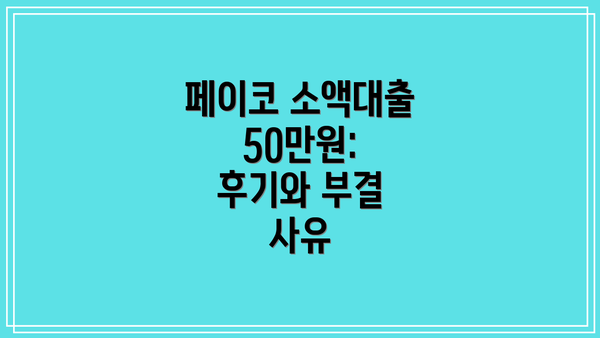 페이코 소액대출 50만원: 후기와 부결 사유