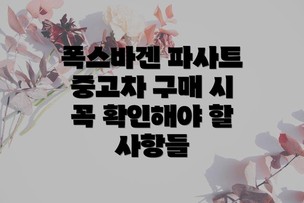 폭스바겐 파사트 중고차 구매 시 꼭 확인해야 할 사항들