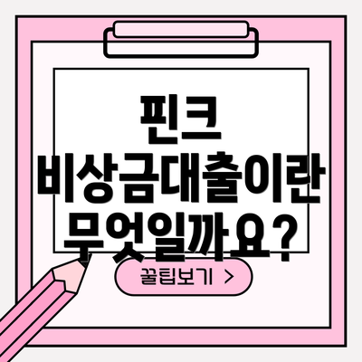 핀크 비상금대출이란 무엇일까요?