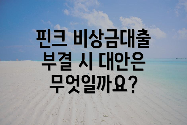핀크 비상금대출 부결 시 대안은 무엇일까요?