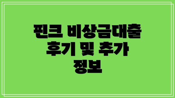 핀크 비상금대출 후기 및 추가 정보