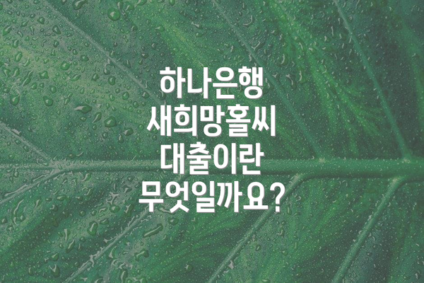 하나은행 새희망홀씨 대출이란 무엇일까요?