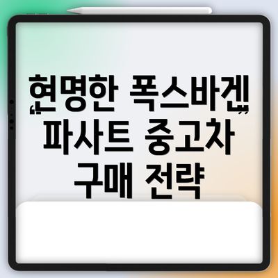 현명한 폭스바겐 파사트 중고차 구매 전략