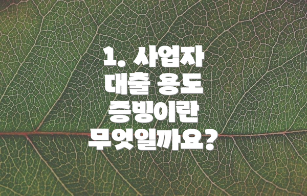 1. 사업자 대출 용도 증빙이란 무엇일까요?