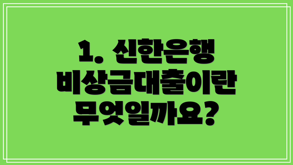 1. 신한은행 비상금대출이란 무엇일까요?