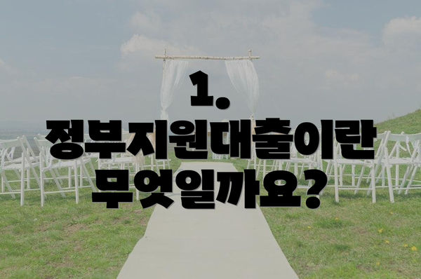 1. 정부지원대출이란 무엇일까요?