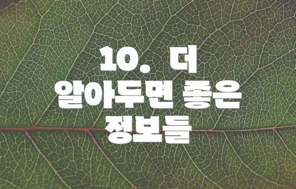 10.  더 알아두면 좋은 정보들