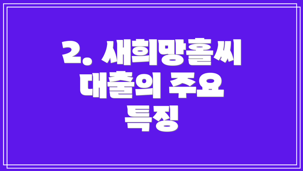 2. 새희망홀씨 대출의 주요 특징
