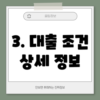3. 대출 조건 상세 정보