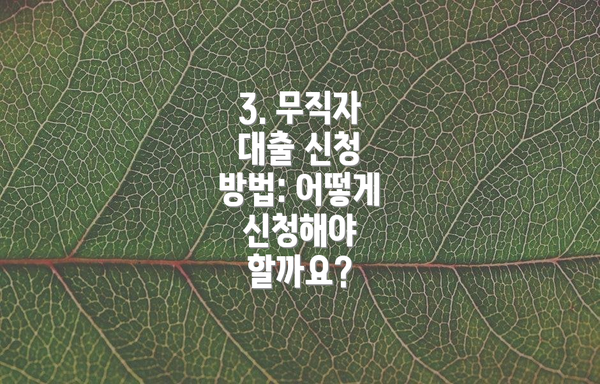 3. 무직자 대출 신청 방법: 어떻게 신청해야 할까요?