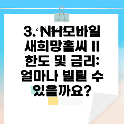 3. NH모바일새희망홀씨 II 한도 및 금리: 얼마나 빌릴 수 있을까요?