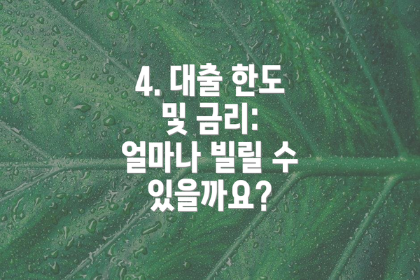 4. 대출 한도 및 금리: 얼마나 빌릴 수 있을까요?