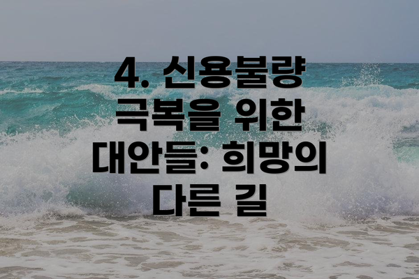 4. 신용불량 극복을 위한 대안들: 희망의 다른 길