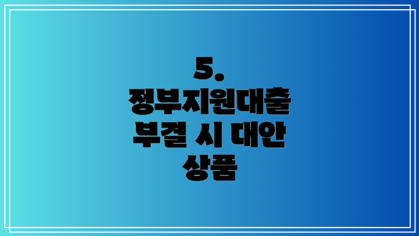 5. 정부지원대출 부결 시 대안 상품