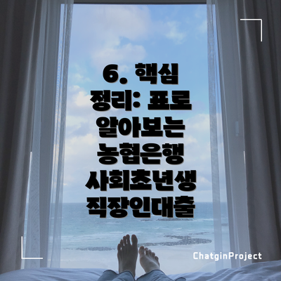 6. 핵심 정리: 표로 알아보는 농협은행 사회초년생 직장인대출