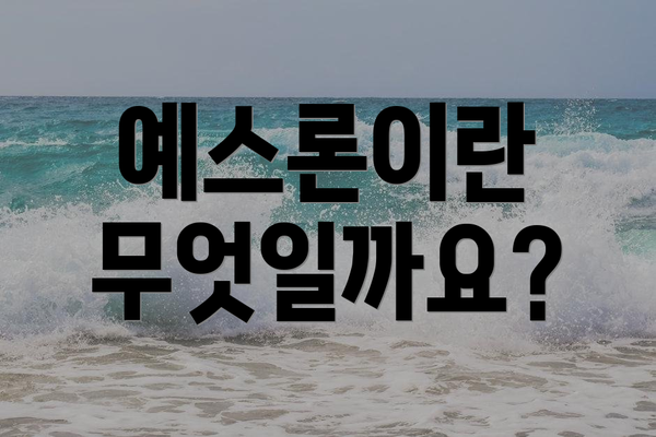 예스론이란 무엇일까요?