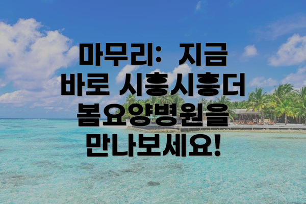 마무리:  지금 바로 시흥시흥더봄요양병원을 만나보세요!