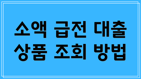 소액 급전 대출 상품 조회 방법