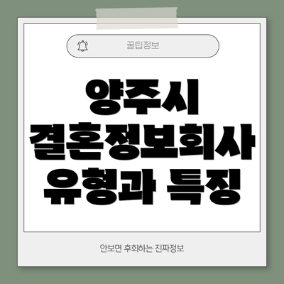 양주시 결혼정보회사 유형과 특징