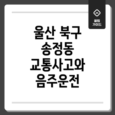 울산 북구 송정동 교통사고와 음주운전
