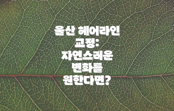 울산 헤어라인 교정: 자연스러운 변화를 원한다면?