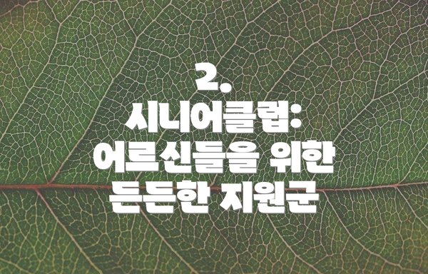 2. 시니어클럽: 어르신들을 위한 든든한 지원군