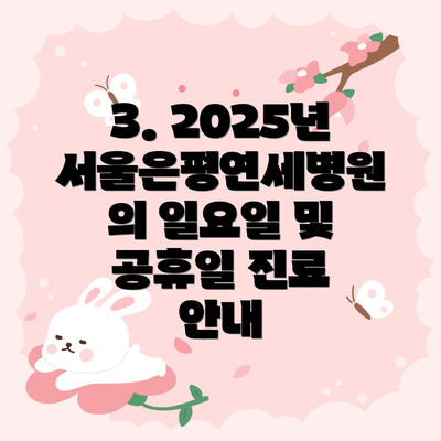 3. 2025년 서울은평연세병원의 일요일 및 공휴일 진료 안내
