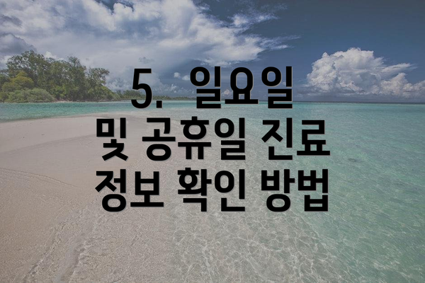 5.  일요일 및 공휴일 진료 정보 확인 방법