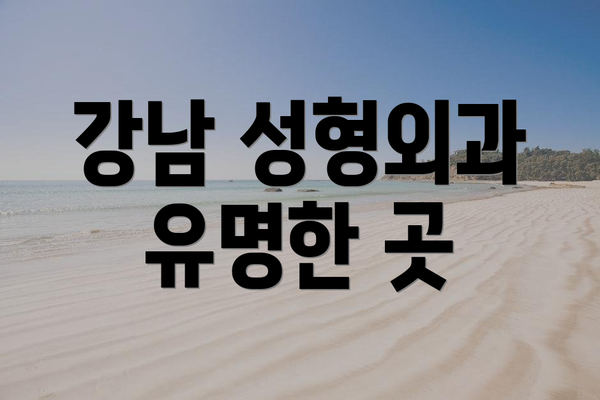 강남 성형외과 유명한 곳