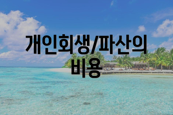 개인회생/파산의 비용
