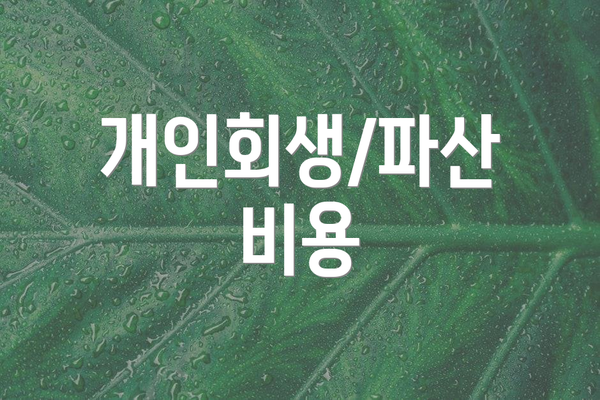 개인회생/파산 비용