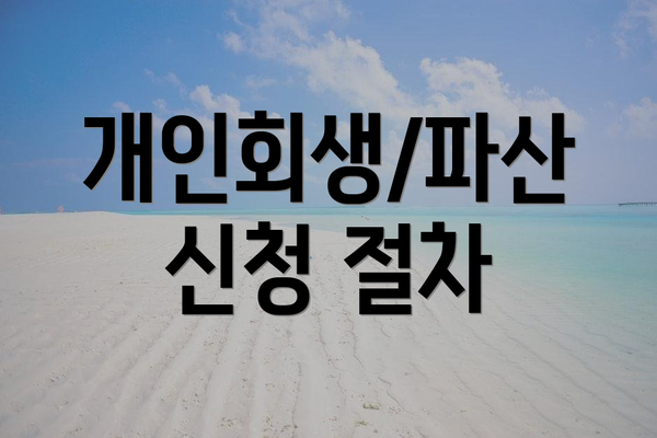 개인회생/파산 신청 절차