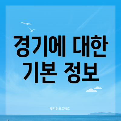 경기에 대한 기본 정보