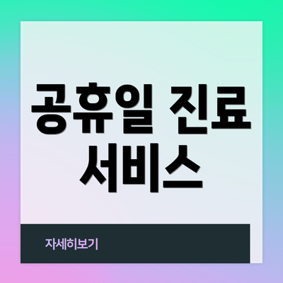 공휴일 진료 서비스