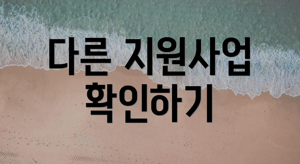 다른 지원사업 확인하기