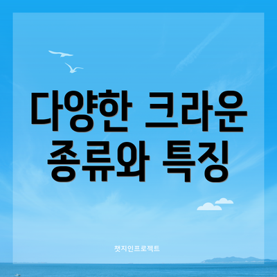 다양한 크라운 종류와 특징